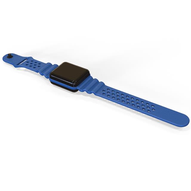 BW24ABKASBL Serpac  Allegati del comitato di sviluppo della valutazione